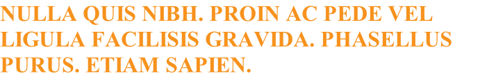 Nulla quis nibh. Proin ac pede vel ligula facilisis gravida. Phasellus purus. Etiam sapien. 

